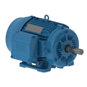 MOTORES ELÉCTRICOS BRASILEÑO - WEG 